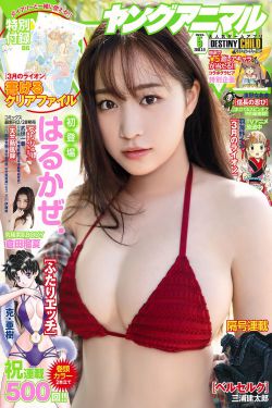 胡桃夹子与四个王国