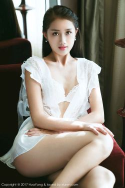 宫斗不如养条狗